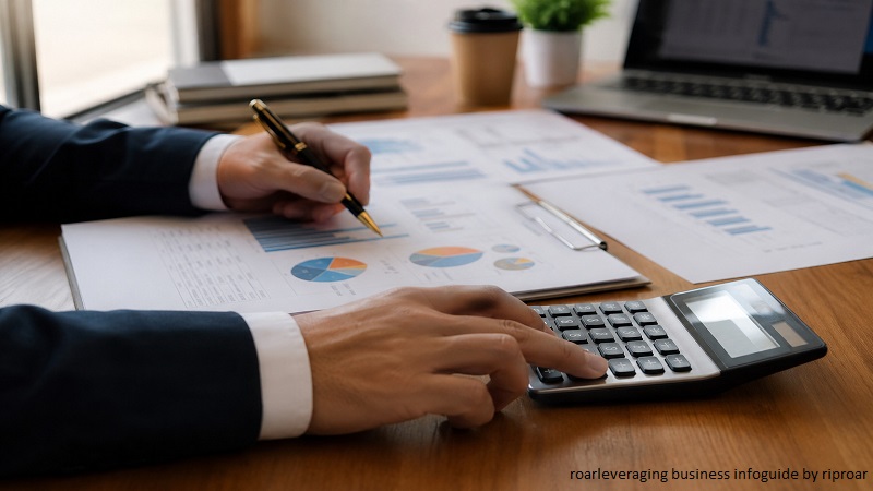 RoarLeveraging Business Infoguide by Riproar showing financial planning, business analysis, and strategic decision making.